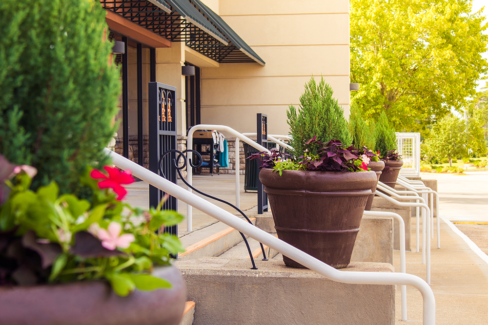 Landry's Landscape Portfolio